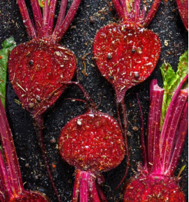 Roasted beets but lengthwise.