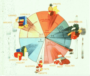USDA food wheel 1980. Largest piece of the pie is carbs at 6-11 servings.