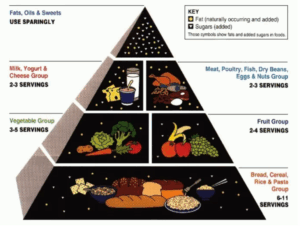 Food pyramid 1992. Base of pyramid is carbs. Focus on carbs and reduction of fats